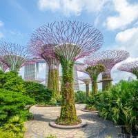 Singapura jardins da ba a dia