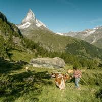 Switzerland tourism jan geerk zermatt riffelalp