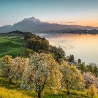 Switzerland tourism vista do lago lucerna andreas gerth