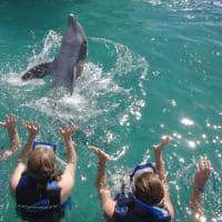 Centro de golfinhos, InterContinental Moorea Resort & Spa