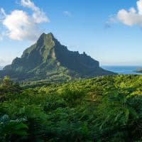 Tahiti moorea montanha