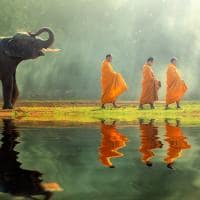 Monges budistas e elefante