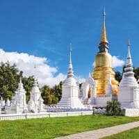Wat suan dok chiang mai