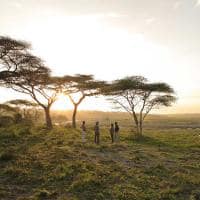 Bebidas ao por-do-sol no Serengeti, Tanzânia