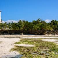 Pacote Zanzibar, Praia, Tanzânia Turismo