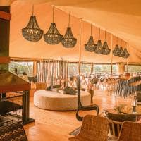 Serengeti bushtops area comum