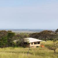 Serengeti bushtops luxury tent