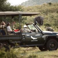 Tanzania andbeyond kleins camp game drive elefante