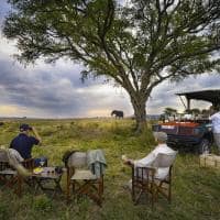 Tanzania nimali serengeti picnic