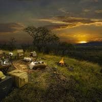 Tanzania nimali serengeti pordosol
