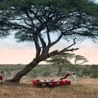 Tanzania serengeti under canvas almoco savana mesa