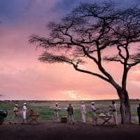 Tanzania serengeti under canvas sundowner