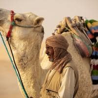 Anantara tozeur resort property amenity camels