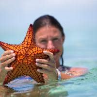 Sailrock resort na praia com estrela do mar