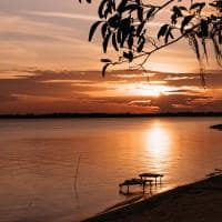Untamed amazon vista rio