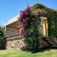 Fasano punta del este uruguai bungalow