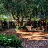 Fasano punta del este uruguai las piedras nature