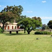 Fasano punta del este uruguai las piedras