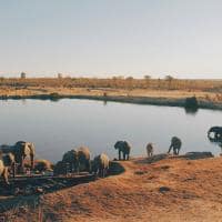 Zimbabue parque nacional hwange lago